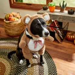 Frisco Front Walking Teddy Bear Dog & Cat Costume 17 Frisco Front Walking Teddy Bear Dog & Cat Costume -Pet Products Shop 215507 PT8. AC SS1800 V1689628224