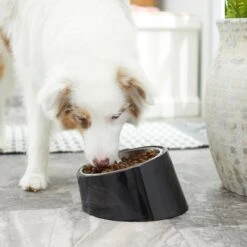 Frisco Stainless Steel Bowl With Elevated Stand 15 Frisco Stainless Steel Bowl With Elevated Stand -Pet Products Shop 216020 PT7. AC SS1800 V1605662208