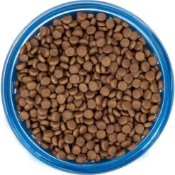 Frisco Chevron Design Glass Bowl With Silicone Sleeve 12 Frisco Chevron Design Glass Bowl With Silicone Sleeve -Pet Products Shop 216049 PT4. AC SS1800 V1591020735