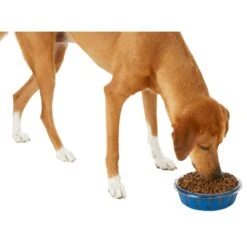 Frisco Chevron Design Glass Bowl With Silicone Sleeve 13 Frisco Chevron Design Glass Bowl With Silicone Sleeve -Pet Products Shop 216049 PT6. AC SS1800 V1605654757