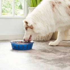 Frisco Chevron Design Glass Bowl With Silicone Sleeve 14 Frisco Chevron Design Glass Bowl With Silicone Sleeve -Pet Products Shop 216049 PT7. AC SS1800 V1605664319