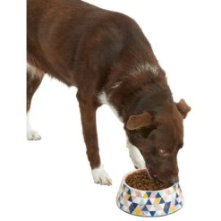 Frisco Colorful Geometric Melamine Bowl 14 Frisco Colorful Geometric Melamine Bowl -Pet Products Shop 216054 PT6. AC SS1800 V1605658026