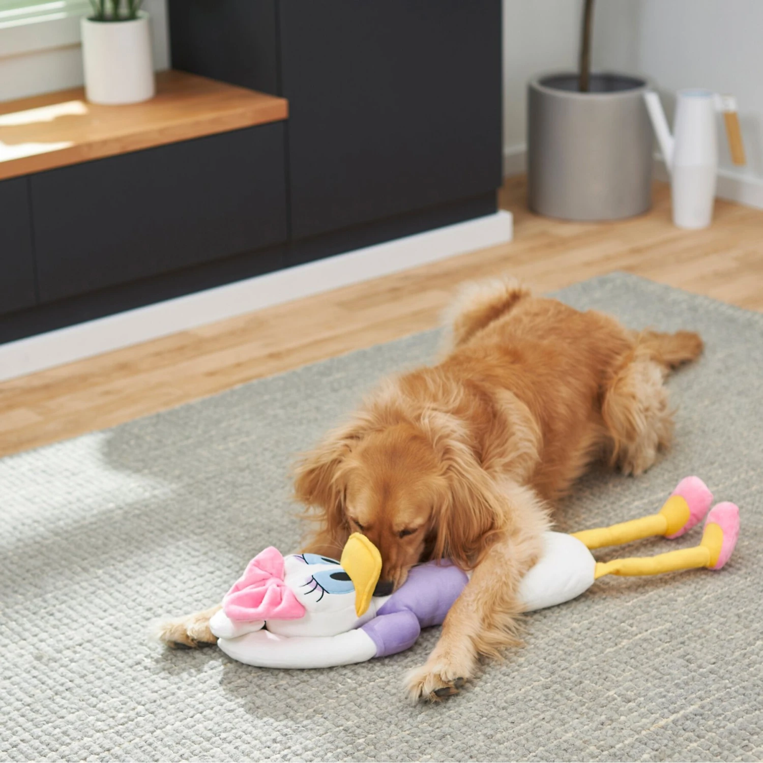 Disney Daisy Duck Wagazoo Plush Squeaky Dog Toy, Extra Long 5 Disney Daisy Duck Wagazoo Plush Squeaky Dog Toy, Extra Long - Image 3