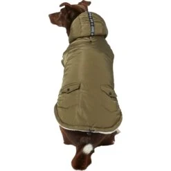 Frisco Mid-Heavyweight Love Insulated Dog & Cat Coat