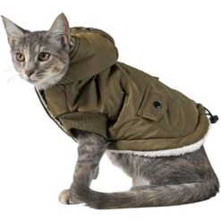 Frisco Mid-Heavyweight Love Insulated Dog & Cat Coat -Pet Products Shop 224034 PT2. AC SS1800 V1599498998