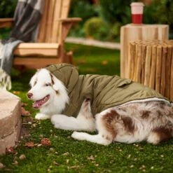Frisco Mid-Heavyweight Love Insulated Dog & Cat Coat -Pet Products Shop 224034 PT7. AC SS1800 V1601578266