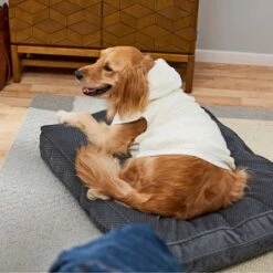 Frisco Plush Fur Dog & Cat Hoodie 17 Frisco Plush Fur Dog & Cat Hoodie -Pet Products Shop 224209 PT7. AC SS1800 V1637685435