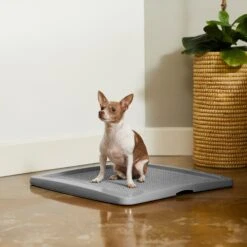 Frisco Training Pad Holder 12 Frisco Training Pad Holder -Pet Products Shop 227474 PT6. AC SS1800 V1604701643