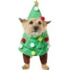 Frisco Front Walking Christmas Tree Dog & Cat Costume 1 Frisco Front Walking Christmas Tree Dog & Cat Costume -Pet Products Shop 229164 MAIN. AC SS1800 V1631300529