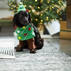 Frisco Front Walking Christmas Tree Dog & Cat Costume 14 Frisco Front Walking Christmas Tree Dog & Cat Costume -Pet Products Shop 229164 PT7. AC SS1800 V1601385981