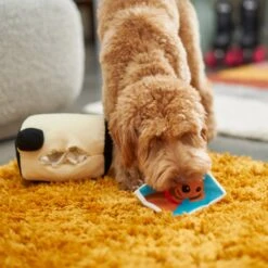 Frisco Retro Camera 2-in-1 Rip For Surprise Plush Squeaky Dog Toy -Pet Products Shop 230306 PT3. AC SS1800 V1602639779