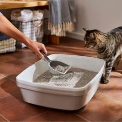 Frisco Lightweight Unscented Clumping Cat Litter -Pet Products Shop 230716 PT4. AC SS1800 V1659023918