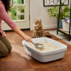 Frisco Tofu Clumping Cat Litter -Pet Products Shop 232117 PT4. AC SS1800 V1659546420