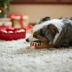 Frisco Holiday Wreath Fetch Squeaky Tennis Ball Dog Toy 12 Frisco Holiday Wreath Fetch Squeaky Tennis Ball Dog Toy -Pet Products Shop 233189 PT3. AC SS1800 V1665759769