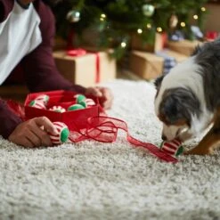 Frisco Holiday Wreath Fetch Squeaky Tennis Ball Dog Toy 13 Frisco Holiday Wreath Fetch Squeaky Tennis Ball Dog Toy -Pet Products Shop 233189 PT5. AC SS1800 V1601919657