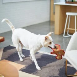 Frisco Holiday Gingerbread Man Flat Plush Squeaky Dog Toy -Pet Products Shop 233241 PT2. AC SS1800 V1601311903