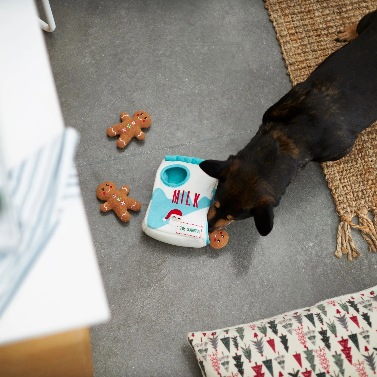 Frisco Holiday Milk & Gingerbread Cookies Hide & Seek Puzzle Plush Squeaky Dog Toy 8 Frisco Holiday Milk & Gingerbread Cookies Hide & Seek Puzzle Plush Squeaky Dog Toy - Image 6