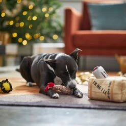 Frisco Holiday Fragile Box Hide & Seek Puzzle Plush Squeaky Dog Toy 13 Frisco Holiday Fragile Box Hide & Seek Puzzle Plush Squeaky Dog Toy -Pet Products Shop 233274 PT4. AC SS1800 V1665759767