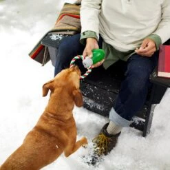 Frisco Holiday Christmas Light Rope With TPR Squeaky Dog Toy 9 Frisco Holiday Christmas Light Rope With TPR Squeaky Dog Toy -Pet Products Shop 233278 PT2. AC SS1800 V1601641574