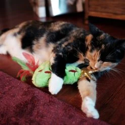 Frisco Holiday Christmas Tree Plush Kicker Cat Toy With Catnip 8 Frisco Holiday Christmas Tree Plush Kicker Cat Toy With Catnip -Pet Products Shop 233305 PT2. AC SS1800 V1602172376