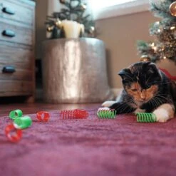 Frisco Holiday Springs Cat Toy, 10 Count 8 Frisco Holiday Springs Cat Toy, 10 Count -Pet Products Shop 233307 PT2. AC SS1800 V1602172363