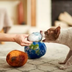 Frisco Earth, Mars, And Moon Plush Squeaky Dog Toy 7 Frisco Earth, Mars, And Moon Plush Squeaky Dog Toy -Pet Products Shop 233587 PT3. AC SS1800 V1600973771