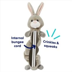 Frisco Bunny Bungee Plush Squeaky Dog Toy 10 Frisco Bunny Bungee Plush Squeaky Dog Toy -Pet Products Shop 233612 PT2. AC SS1800 V1691784247
