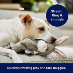 Frisco Bunny Bungee Plush Squeaky Dog Toy 12 Frisco Bunny Bungee Plush Squeaky Dog Toy -Pet Products Shop 233612 PT5. AC SS1800 V1691783971