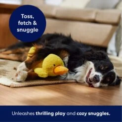 Frisco Duck Plush Squeaky Dog Toy -Pet Products Shop 233613 PT4. AC SS1800 V1695670688