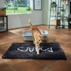 Frisco Microfiber Chenille Fish Bone Litter Mat 11 Frisco Microfiber Chenille Fish Bone Litter Mat -Pet Products Shop 236242 PT3. AC SS1800 V1676556249