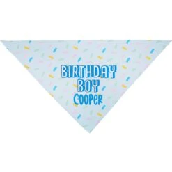 Frisco Birthday Boy Personalized Dog & Cat Bandana -Pet Products Shop 238329 PT3. AC SS1800 V1618511828