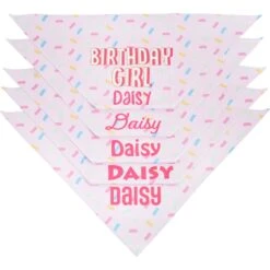 Frisco Birthday Girl Personalized Dog & Cat Bandana -Pet Products Shop 238333 PT4. AC SS1800 V1618507367