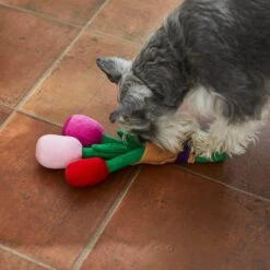 Frisco Valentine Rose Bouquet Plush Squeaky Dog Toy -Pet Products Shop 241733 PT6. AC SS1800 V1607990908