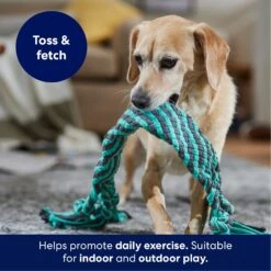 Frisco Flat Teal & Gray Braided Rope Squeaky Fetch Dog Toy 10 Frisco Flat Teal & Gray Braided Rope Squeaky Fetch Dog Toy -Pet Products Shop 242127 PT3. AC SS1800 V1695242179