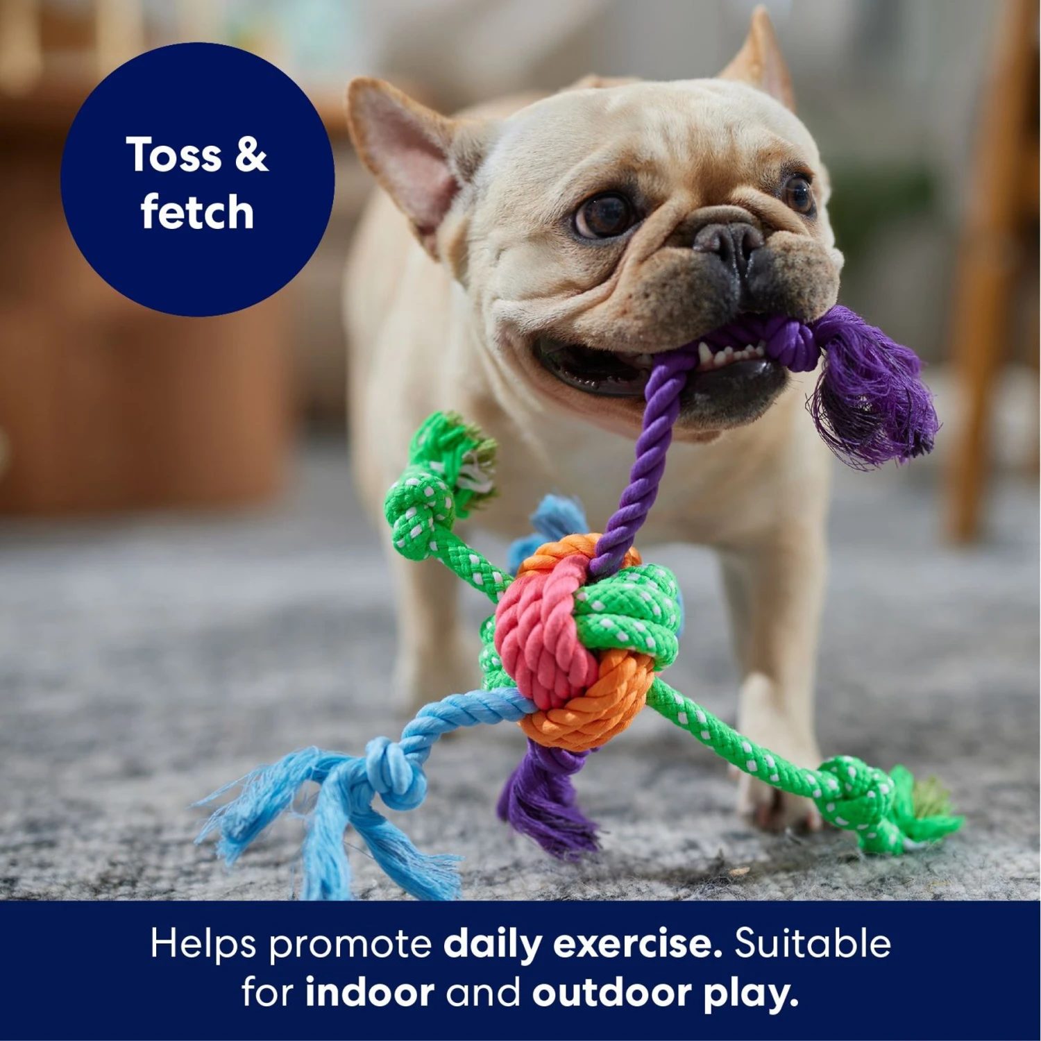 Frisco Fetch Colorful Ball Knot Rope Dog Toy 5 Frisco Fetch Colorful Ball Knot Rope Dog Toy - Image 3