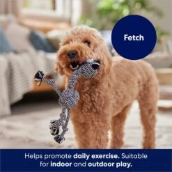 Frisco Zebra Rope Squeaky Dog Toy 10 Frisco Zebra Rope Squeaky Dog Toy -Pet Products Shop 242163 PT3. AC SS1800 V1691785245