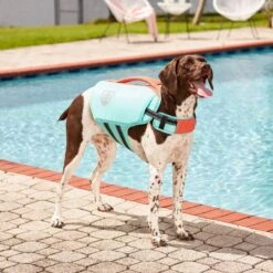 Frisco Active Dog Life Jacket 18 Frisco Active Dog Life Jacket -Pet Products Shop 247894 PT7. AC SS1800 V1616506092
