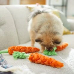 Frisco Easter Carrot Plush With Rope Dog Toy -Pet Products Shop 248023 PT5. AC SS1800 V1608769360