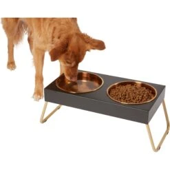 Pet Products Shop 40 Frisco Copper Stainless Steel Elevated Foldable Double Dog & Cat Bowls