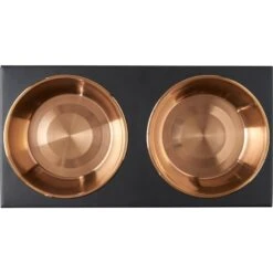 Frisco Copper Stainless Steel Elevated Foldable Double Dog & Cat Bowls -Pet Products Shop 253060 PT4. AC SS1800 V1616595727