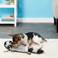 Frisco Alligator Stuffing-Free Flat Plush Squeaky Dog Toy & Frisco Raccoon Stuffing-Free Flat Plush Squeaky Dog Toy 11 Frisco Alligator Stuffing-Free Flat Plush Squeaky Dog Toy & Frisco Raccoon Stuffing-Free Flat Plush Squeaky Dog Toy -Pet Products Shop 255471 PT4. AC SS1800 V1602691287