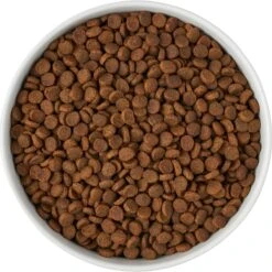 Frisco Paw Prints Non-skid Ceramic Bowl 13 Frisco Paw Prints Non-skid Ceramic Bowl -Pet Products Shop 256072 PT5. AC SS1800 V1615312318