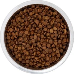 Frisco Black Iron Non-Skid Stainless Steel Dog & Cat Bowl -Pet Products Shop 257152 PT4. AC SS1800 V1615311427