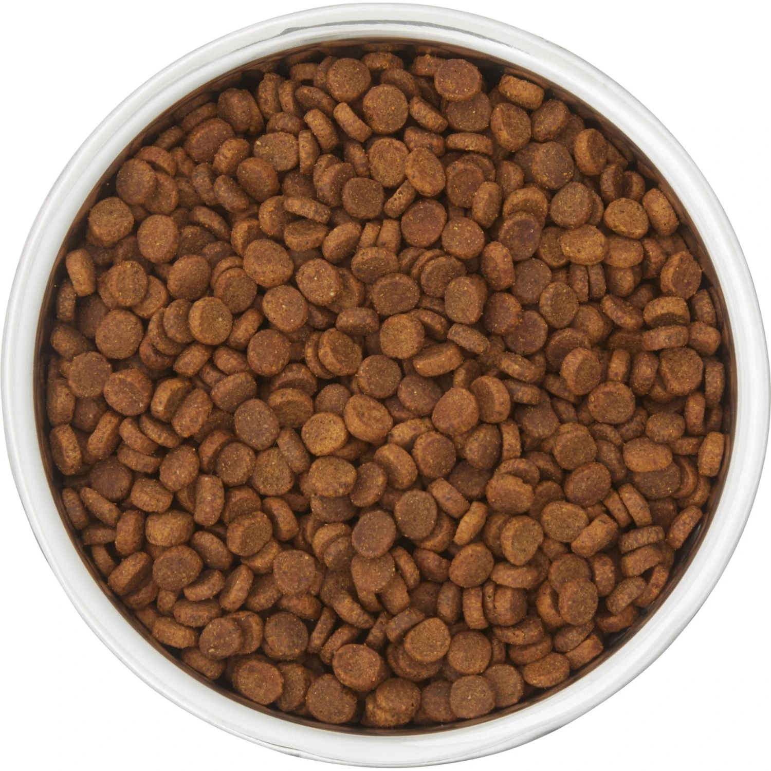 Frisco Insulated Two-Toned Non-Skid Stainless Steel Dog & Cat Bowl 7 Frisco Insulated Two-Toned Non-Skid Stainless Steel Dog & Cat Bowl - Image 5