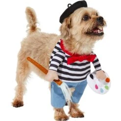 Frisco Front Walking French Artist Dog & Cat Costume -Pet Products Shop 260956 PT3. AC SS1800 V1624453662