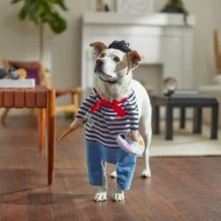 Frisco Front Walking French Artist Dog & Cat Costume -Pet Products Shop 260956 PT8. AC SS1800 V1689623916