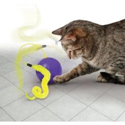 KONG Purrsuit Whirlwind Replacement Tails Cat Toy, 2 Count -Pet Products Shop 261253 PT2. AC SS1800 V1631773890