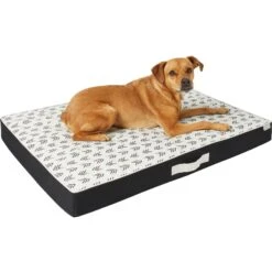 Frisco Indoor/Outdoor Arrow Print Pillow Dog Bed W/Removable Cover -Pet Products Shop 262153 PT2. AC SS1800 V1619534330