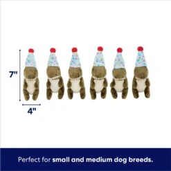 Frisco Birthday Volcano & Dinosaurs Hide & Seek Puzzle Plush Squeaky Dog Toy 11 Frisco Birthday Volcano & Dinosaurs Hide & Seek Puzzle Plush Squeaky Dog Toy -Pet Products Shop 264424 PT2. AC SS1800 V1695761147