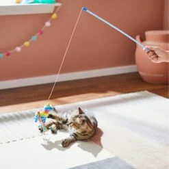Frisco Pinata Teaser Wand Cat Toy With Catnip -Pet Products Shop 264446 PT3. AC SS1800 V1618948636